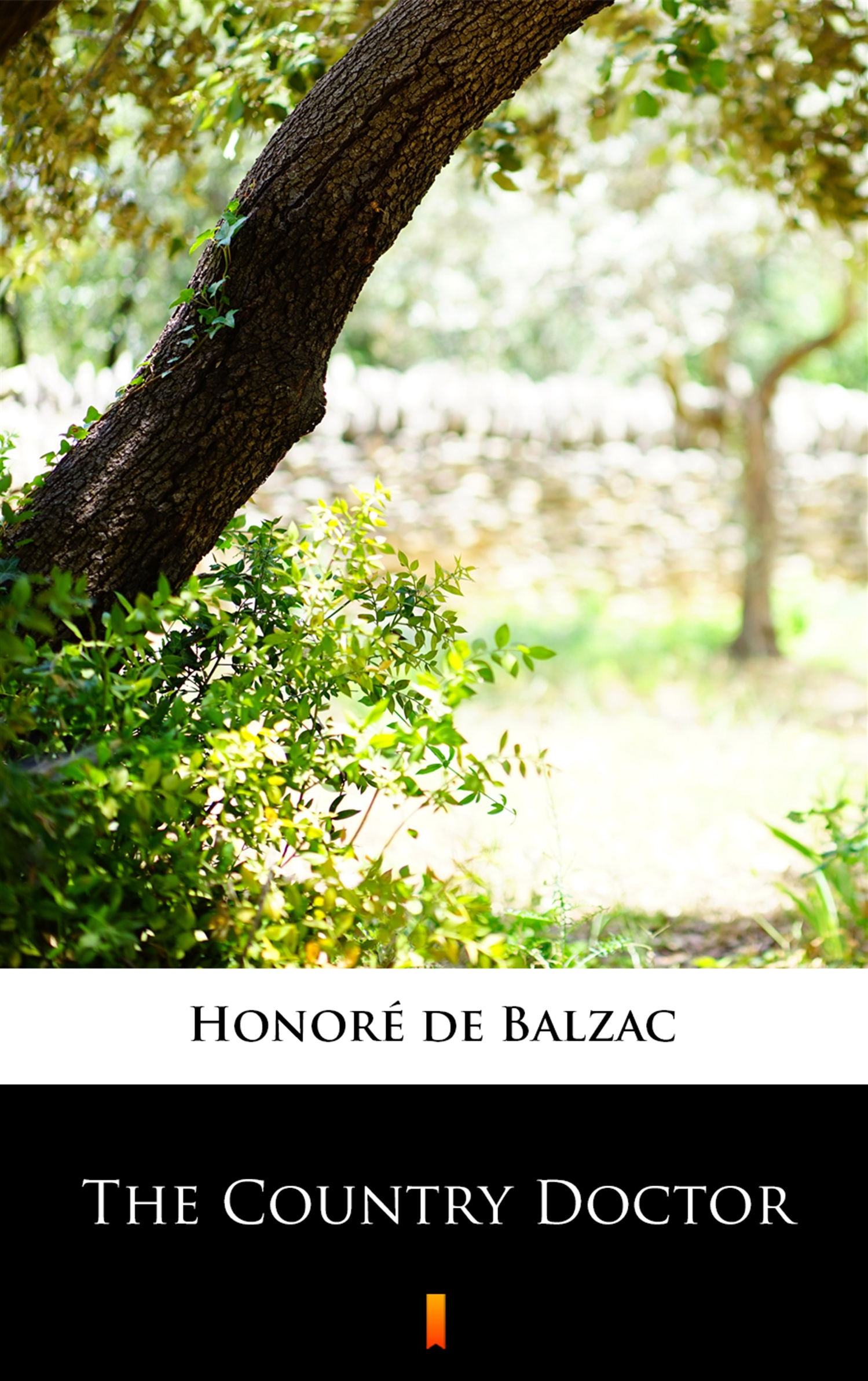 Tytuł: The Country Doctor
Autor: Honoré de Balzac
Wydawnictwo: KtoCzyta.pl
Formaty: EPUB, MOBI