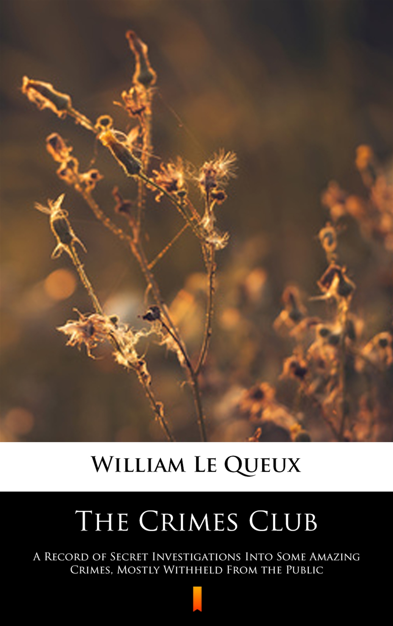 Tytuł: The Crimes Club. A Record of Secret Investigations Into Some Amazing Crimes, Mostly Withheld From the Public
Autor: William Le Queux
Wydawnictwo: KtoCzyta.pl
Formaty: EPUB, MOBI