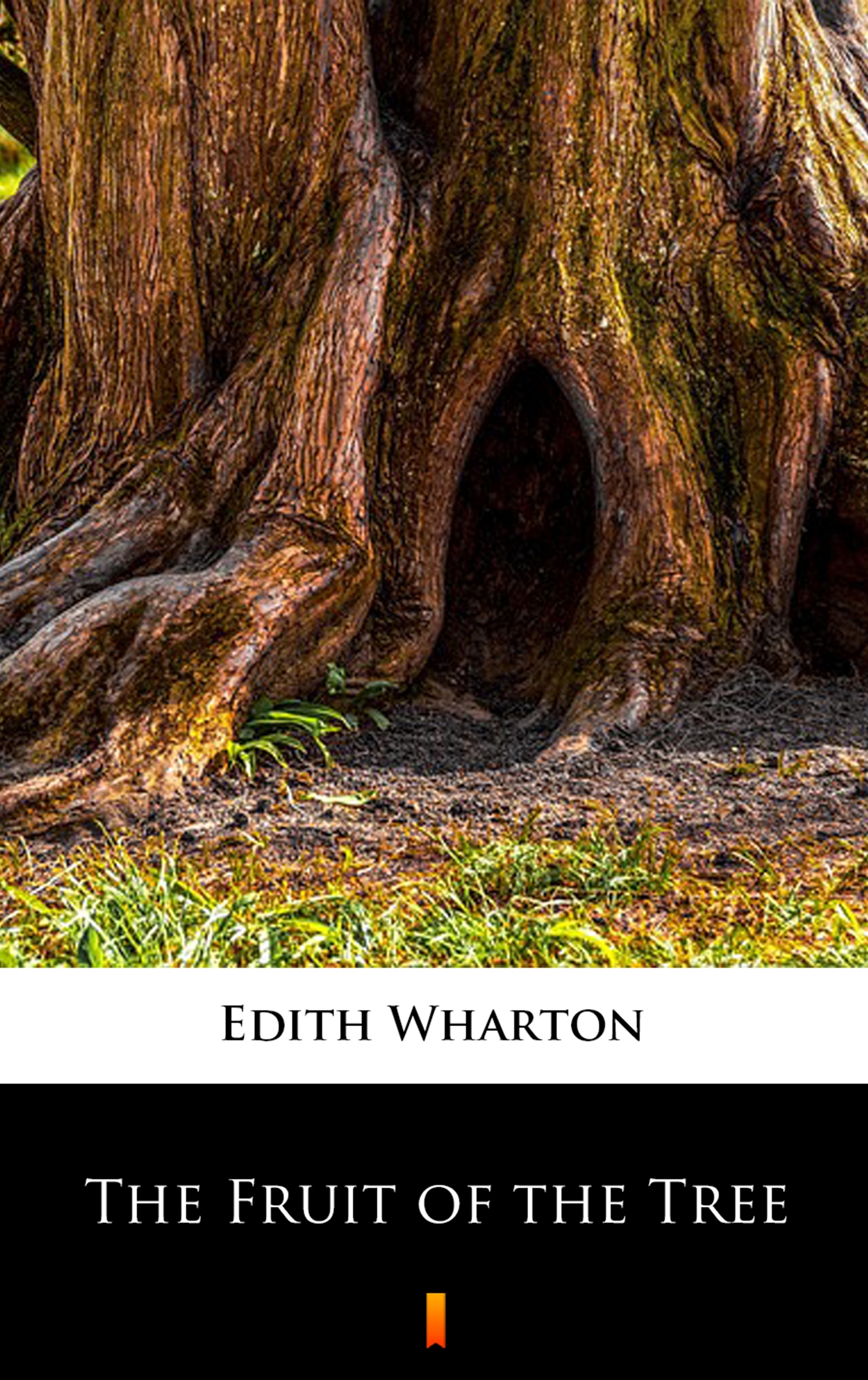 Tytuł: The Fruit of the Tree
Autor: Edith Wharton
Wydawnictwo: KtoCzyta.pl
Formaty: EPUB, MOBI