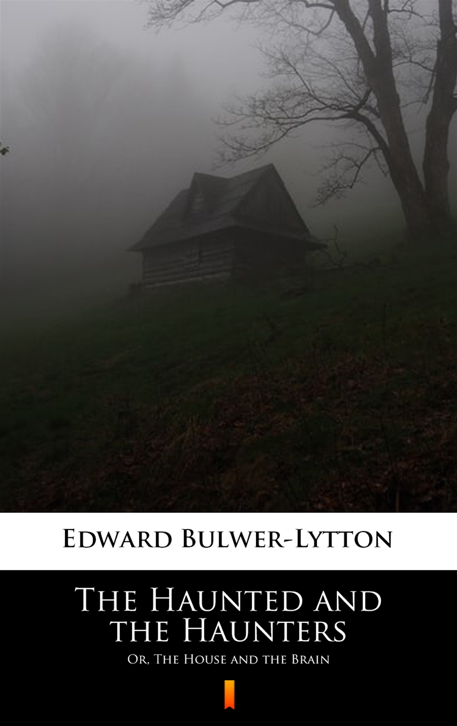 Tytuł: The Haunted and the Haunters. Or, The House and the Brain
Autor: Edward Bulwer-Lytton
Wydawnictwo: KtoCzyta.pl
Formaty: EPUB, MOBI