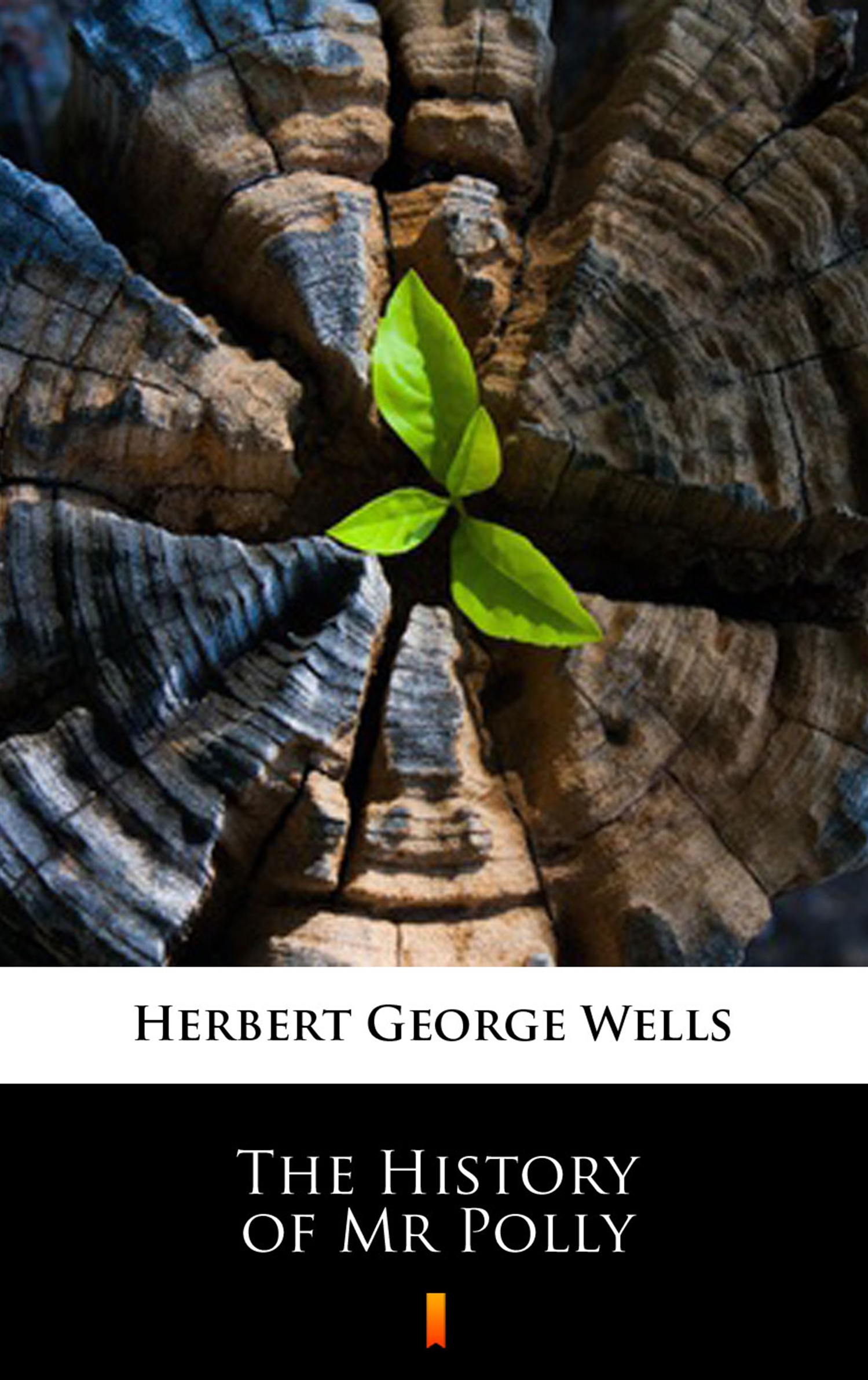 Tytuł: The History of Mr Polly
Autor: Herbert George Wells
Wydawnictwo: KtoCzyta.pl
Formaty: EPUB, MOBI