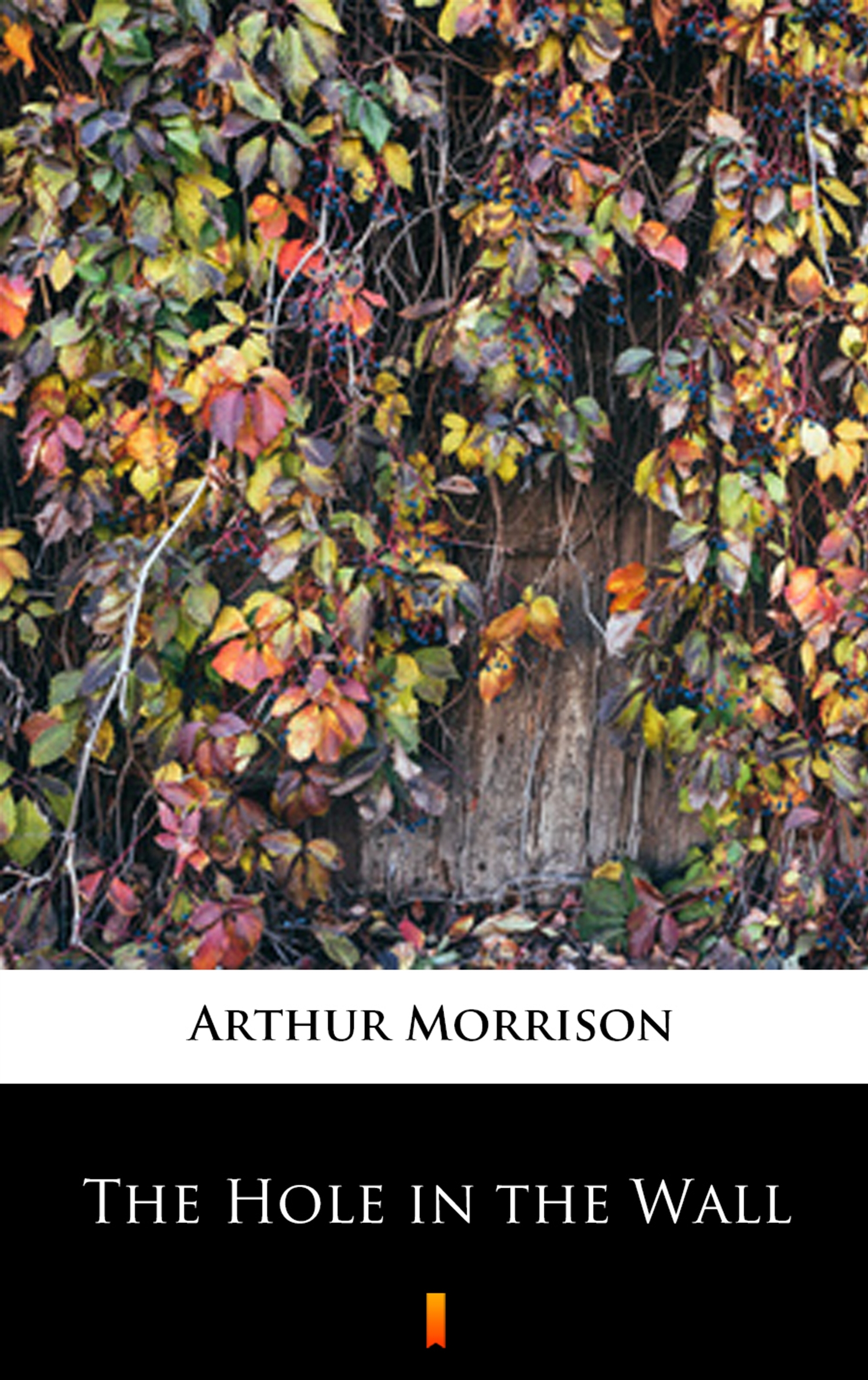 Tytuł: The Hole in the Wall
Autor: Arthur Morrison
Wydawnictwo: KtoCzyta.pl
Formaty: EPUB, MOBI