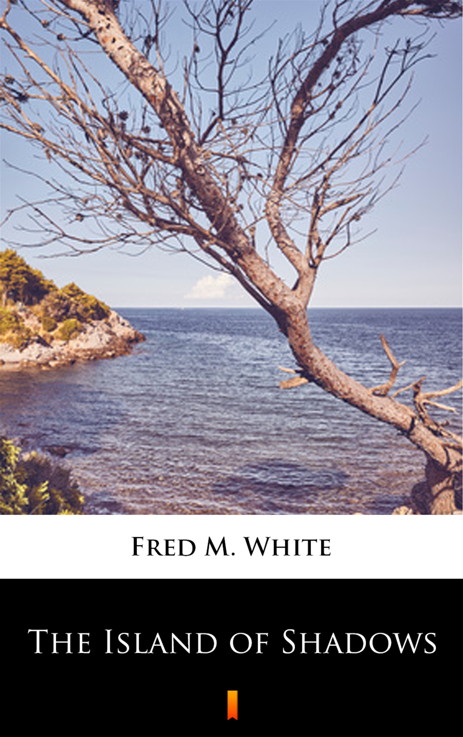 Tytuł: The Island of Shadows
Autor: Fred M. White
Wydawnictwo: KtoCzyta.pl
Formaty: EPUB, MOBI
