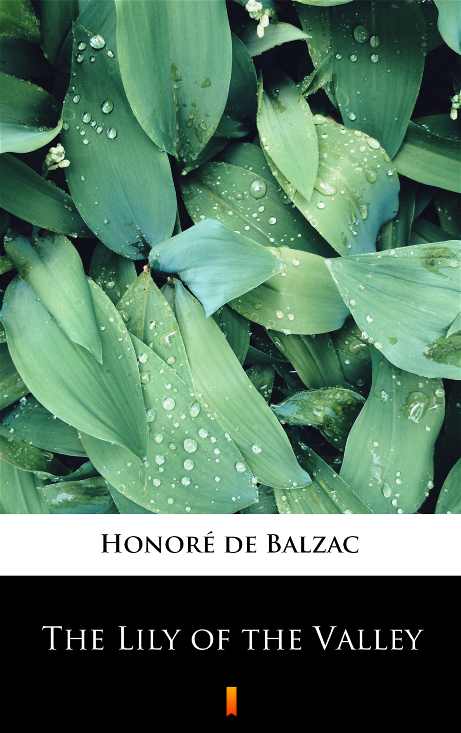 Tytuł: The Lily of the Valley
Autor: Honoré de Balzac
Wydawnictwo: KtoCzyta.pl
Formaty: EPUB, MOBI