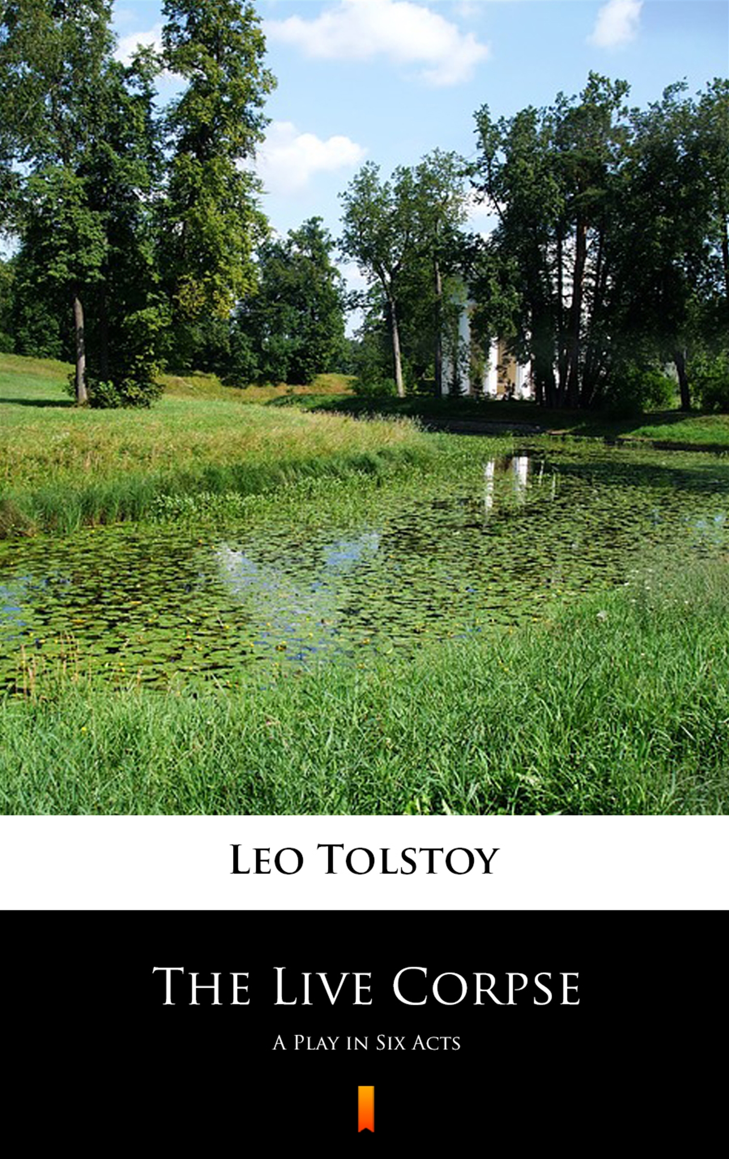 Tytuł: The Live Corpse. A Play in Six Acts
Autor: Leo Tolstoy
Wydawnictwo: KtoCzyta.pl
Formaty: EPUB, MOBI