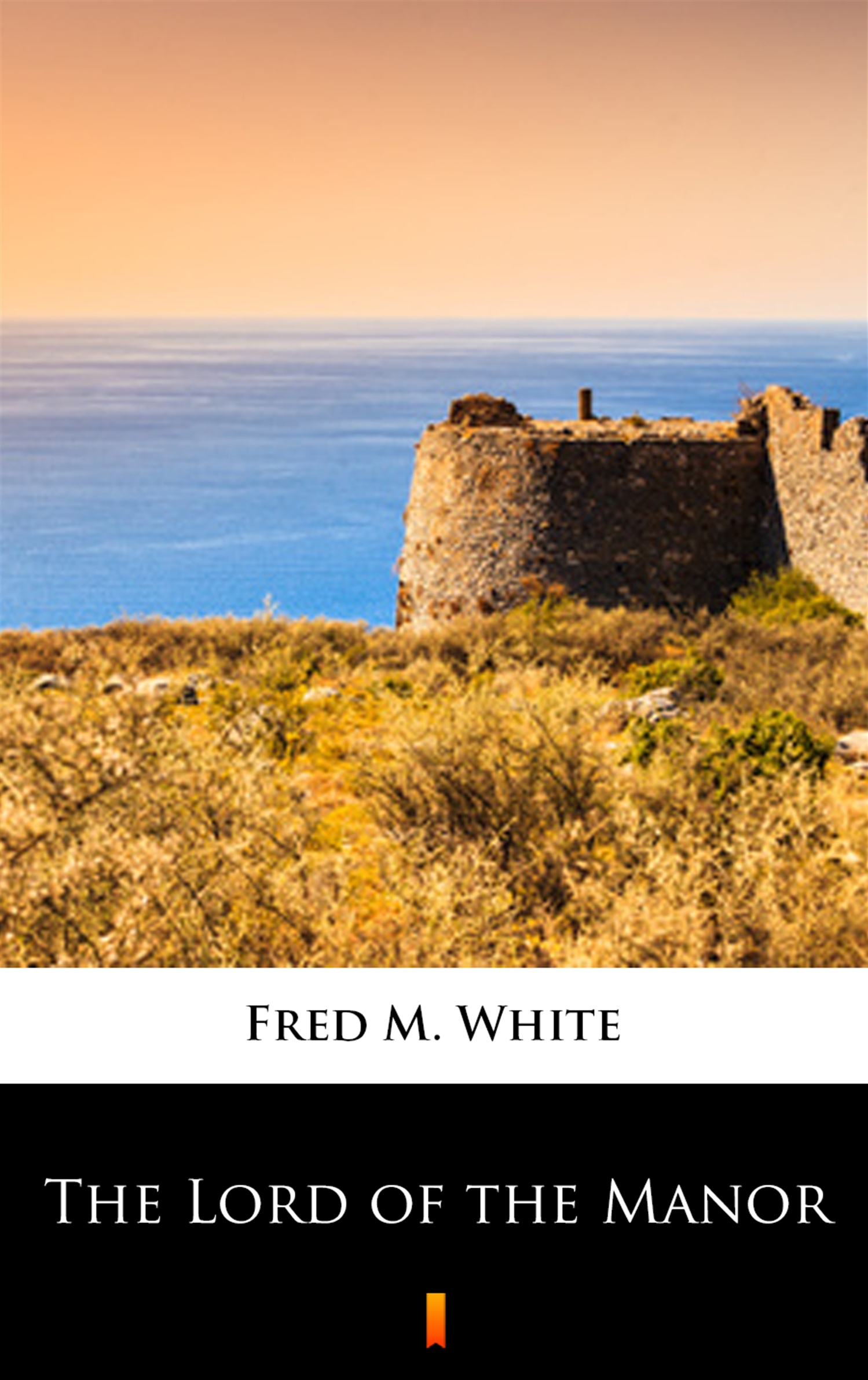 Tytuł: The Lord of the Manor
Autor: Fred M. White
Wydawnictwo: KtoCzyta.pl
Formaty: EPUB, MOBI