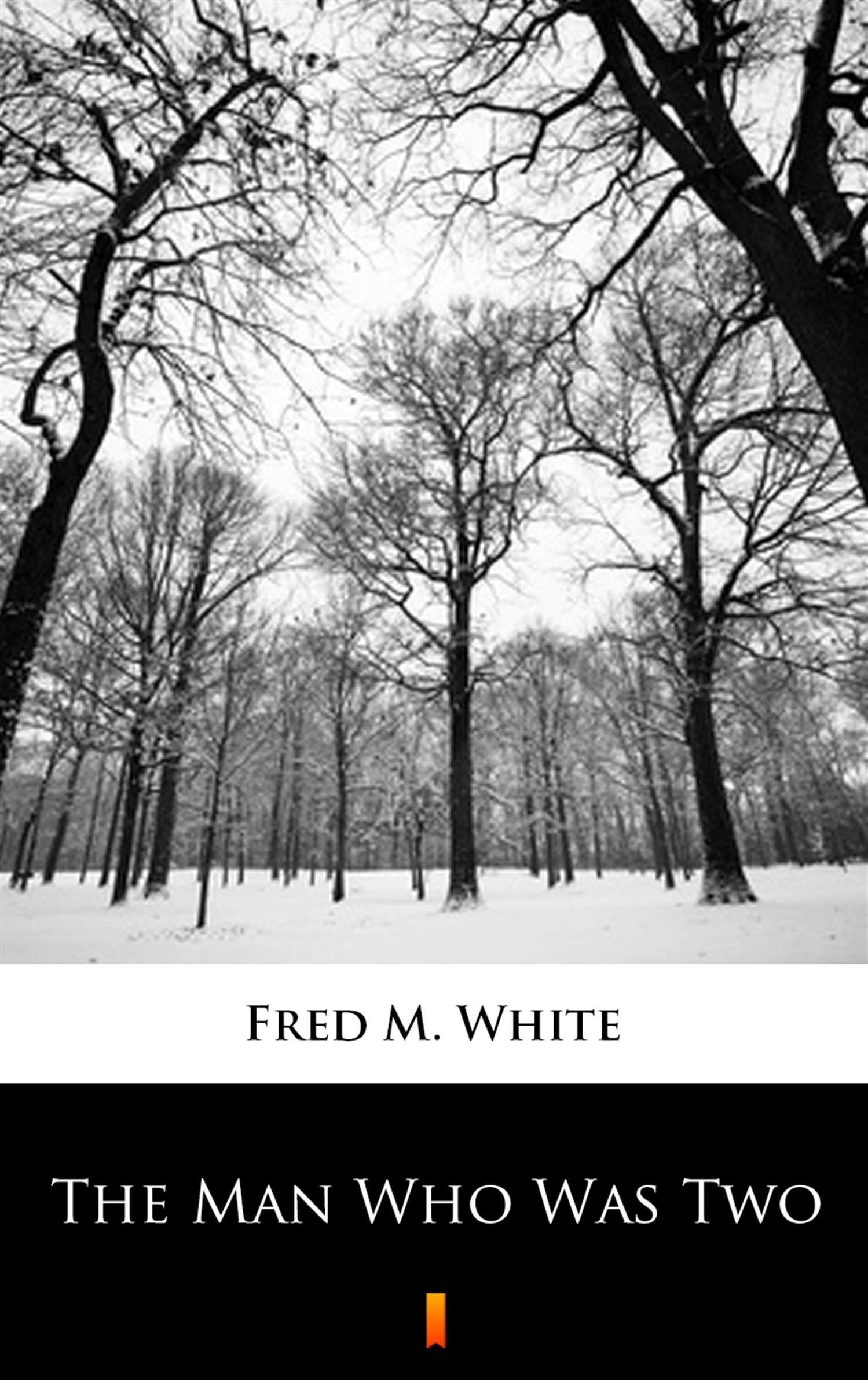 Tytuł: The Man Who Was Two
Autor: Fred M. White
Wydawnictwo: KtoCzyta.pl
Formaty: EPUB, MOBI