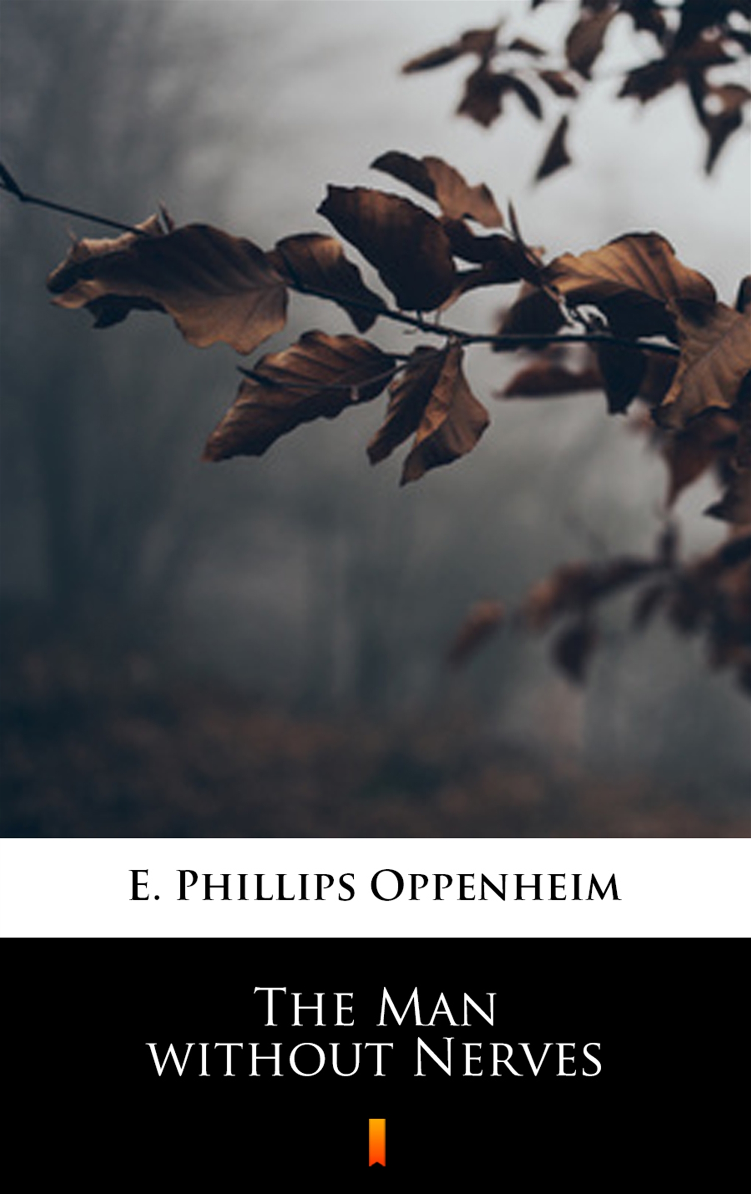 Tytuł: The Man without Nerves
Autor: E. Phillips Oppenheim
Wydawnictwo: KtoCzyta.pl
Formaty: EPUB, MOBI