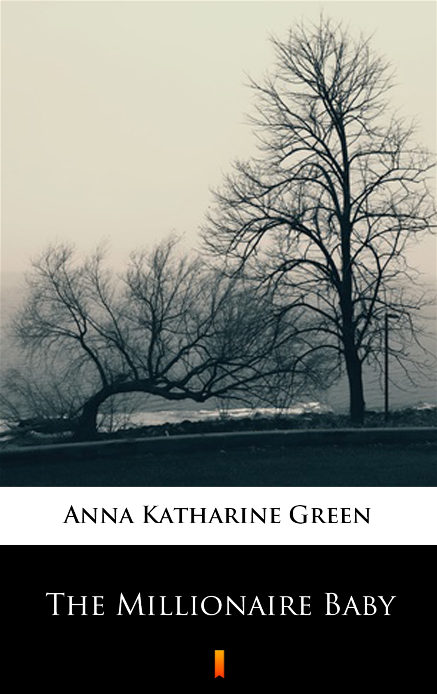 Tytuł: The Millionaire Baby
Autor: Anna Katharine Green
Wydawnictwo: KtoCzyta.pl
Formaty: EPUB, MOBI