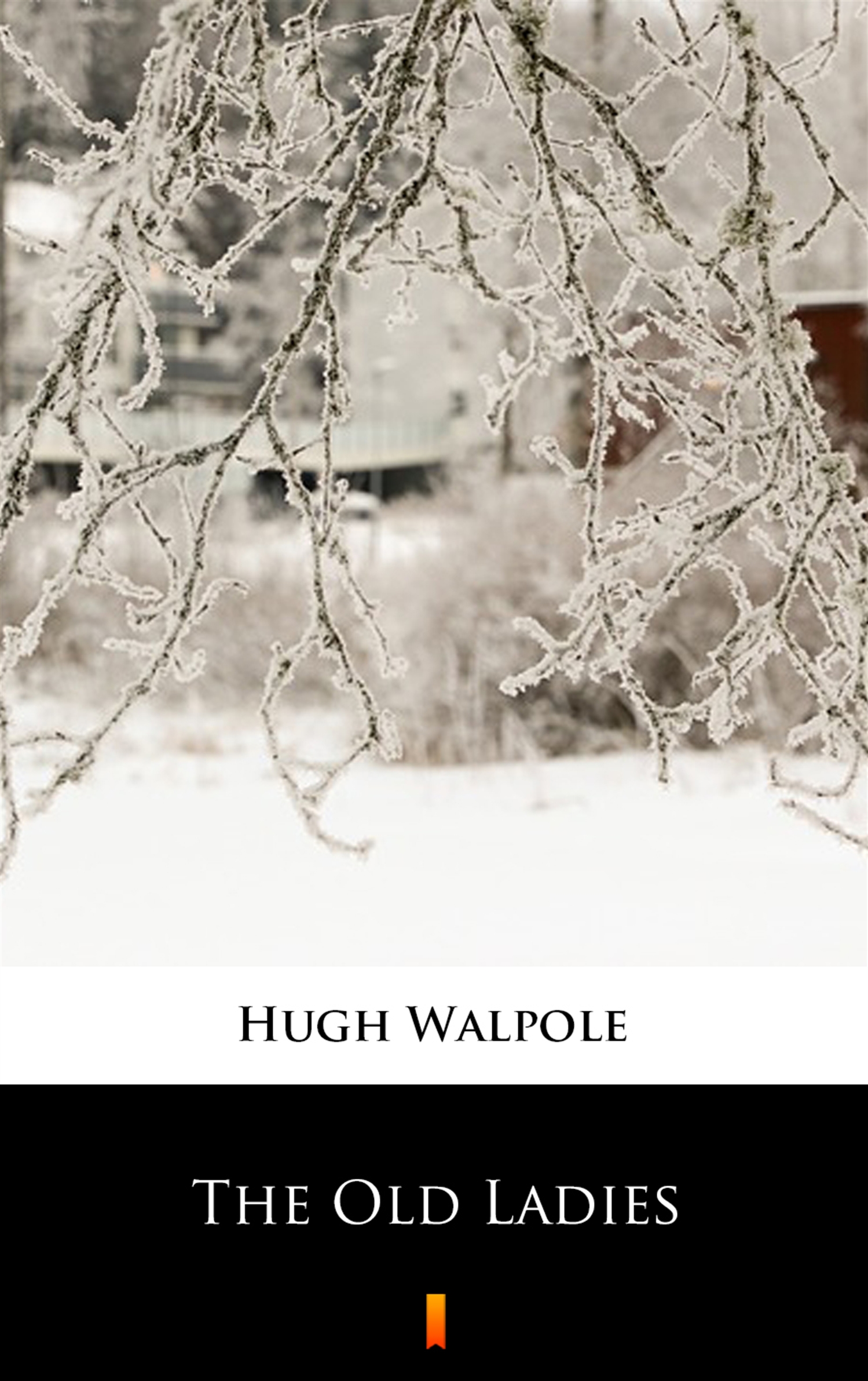 Tytuł: The Old Ladies
Autor: Hugh Walpole
Wydawnictwo: KtoCzyta.pl
Formaty: EPUB, MOBI