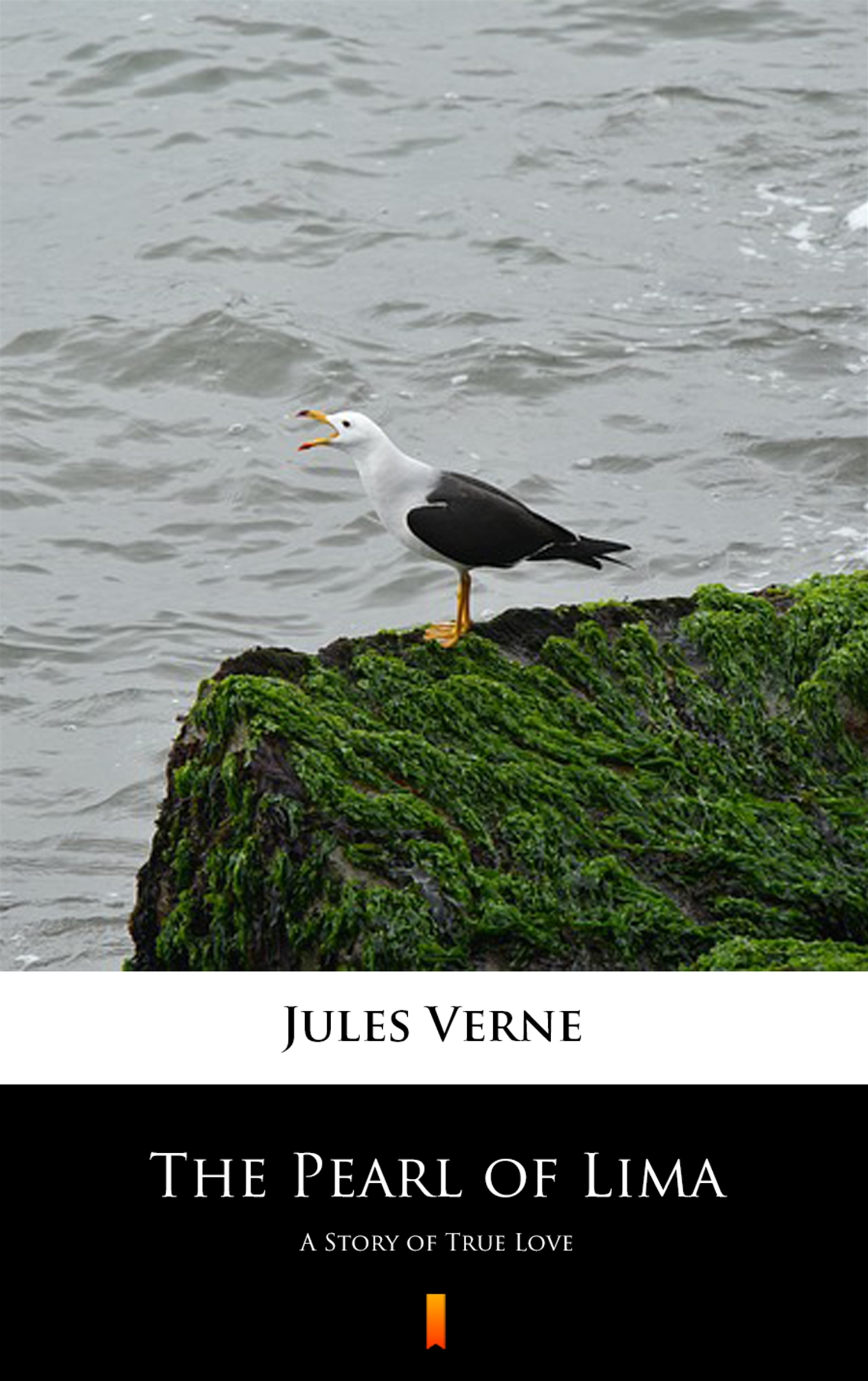 Tytuł: The Pearl of Lima. A Story of True Love
Autor: Jules Verne
Wydawnictwo: KtoCzyta.pl
Formaty: EPUB, MOBI