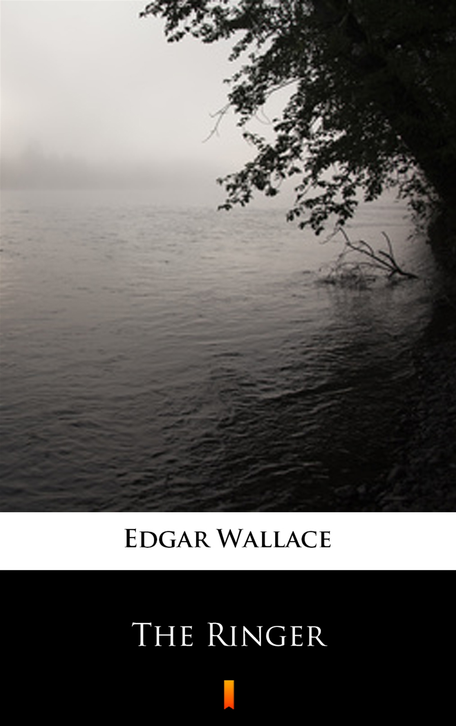 Tytuł: The Ringer
Autor: Edgar Wallace
Wydawnictwo: KtoCzyta.pl
Formaty: EPUB, MOBI