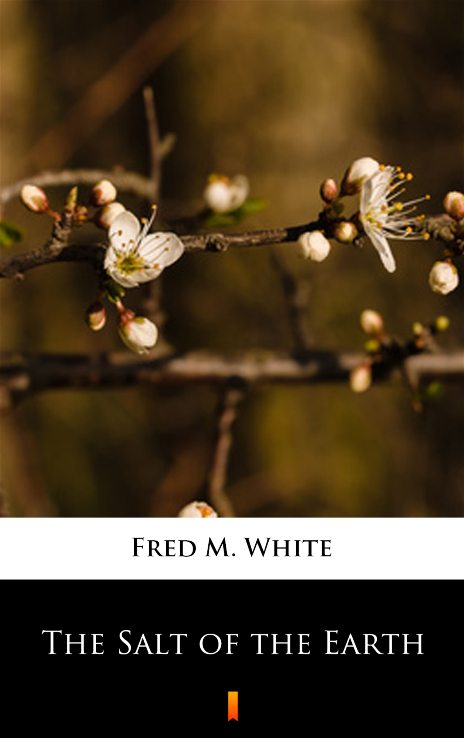 Tytuł: The Salt of the Earth
Autor: Fred M. White
Wydawnictwo: KtoCzyta.pl
Formaty: EPUB, MOBI