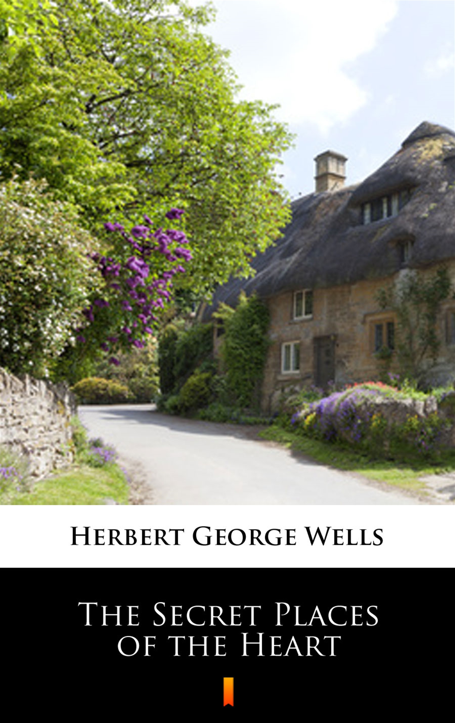 Tytuł: The Secret Places of the Heart
Autor: Herbert George Wells
Wydawnictwo: KtoCzyta.pl
Formaty: EPUB, MOBI