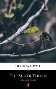 The Silver Thorn. A Book of Stories — okładka e-booka