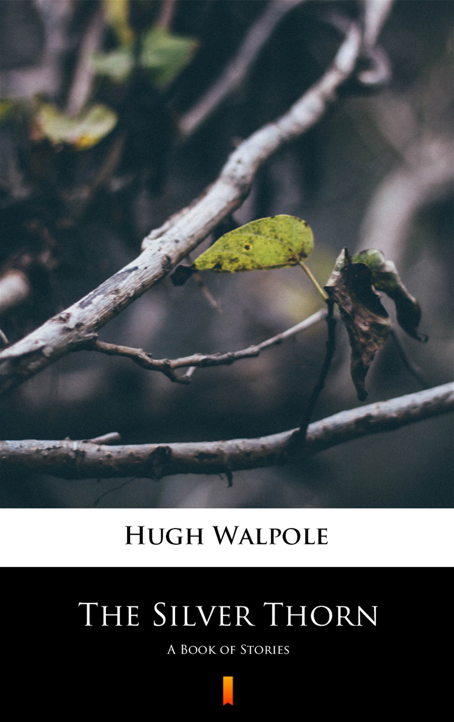 Tytuł: The Silver Thorn. A Book of Stories
Autor: Hugh Walpole
Wydawnictwo: KtoCzyta.pl
Formaty: EPUB, MOBI