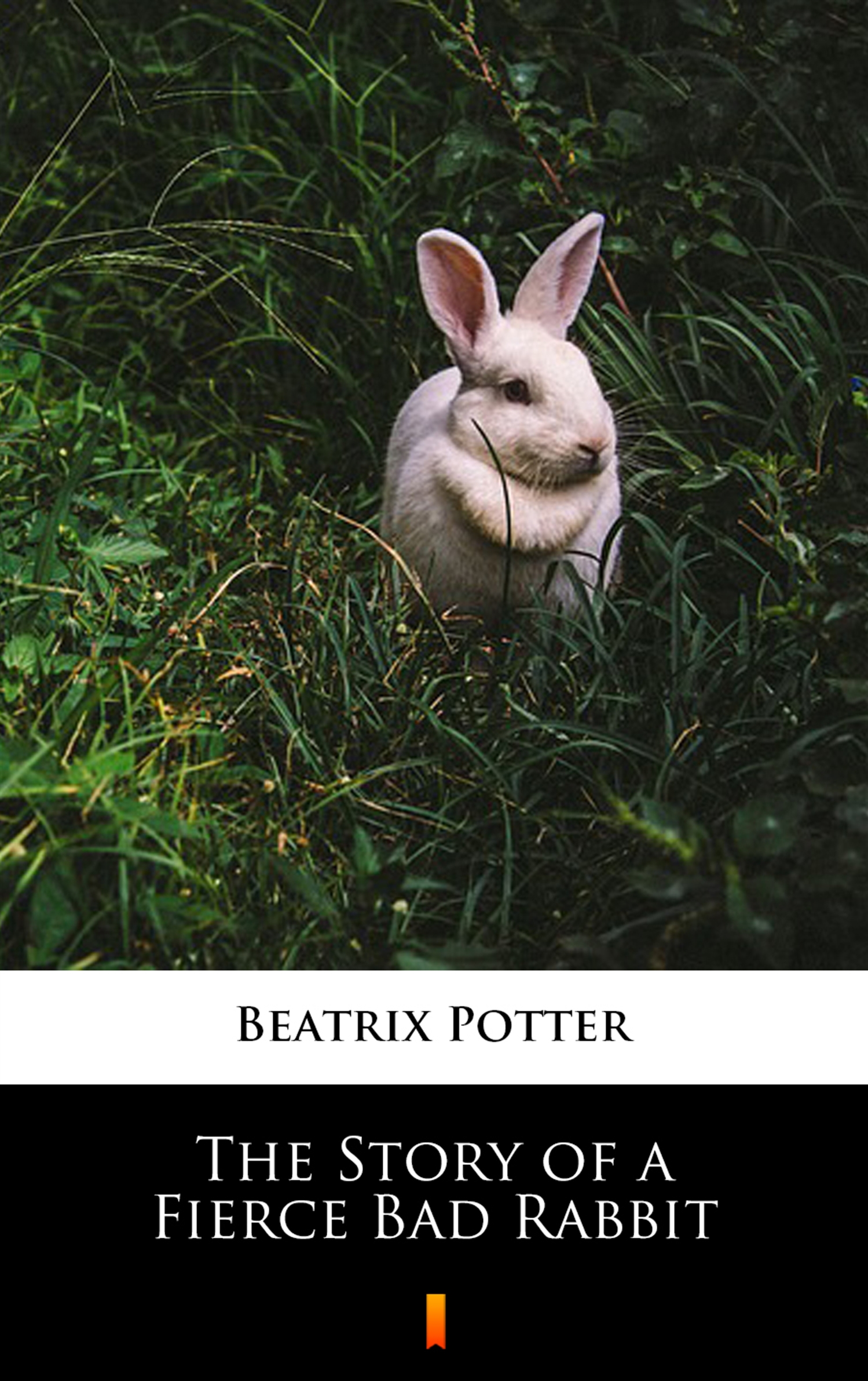 Tytuł: The Story of a Fierce Bad Rabbit
Autor: Beatrix Potter
Wydawnictwo: KtoCzyta.pl
Formaty: EPUB, MOBI