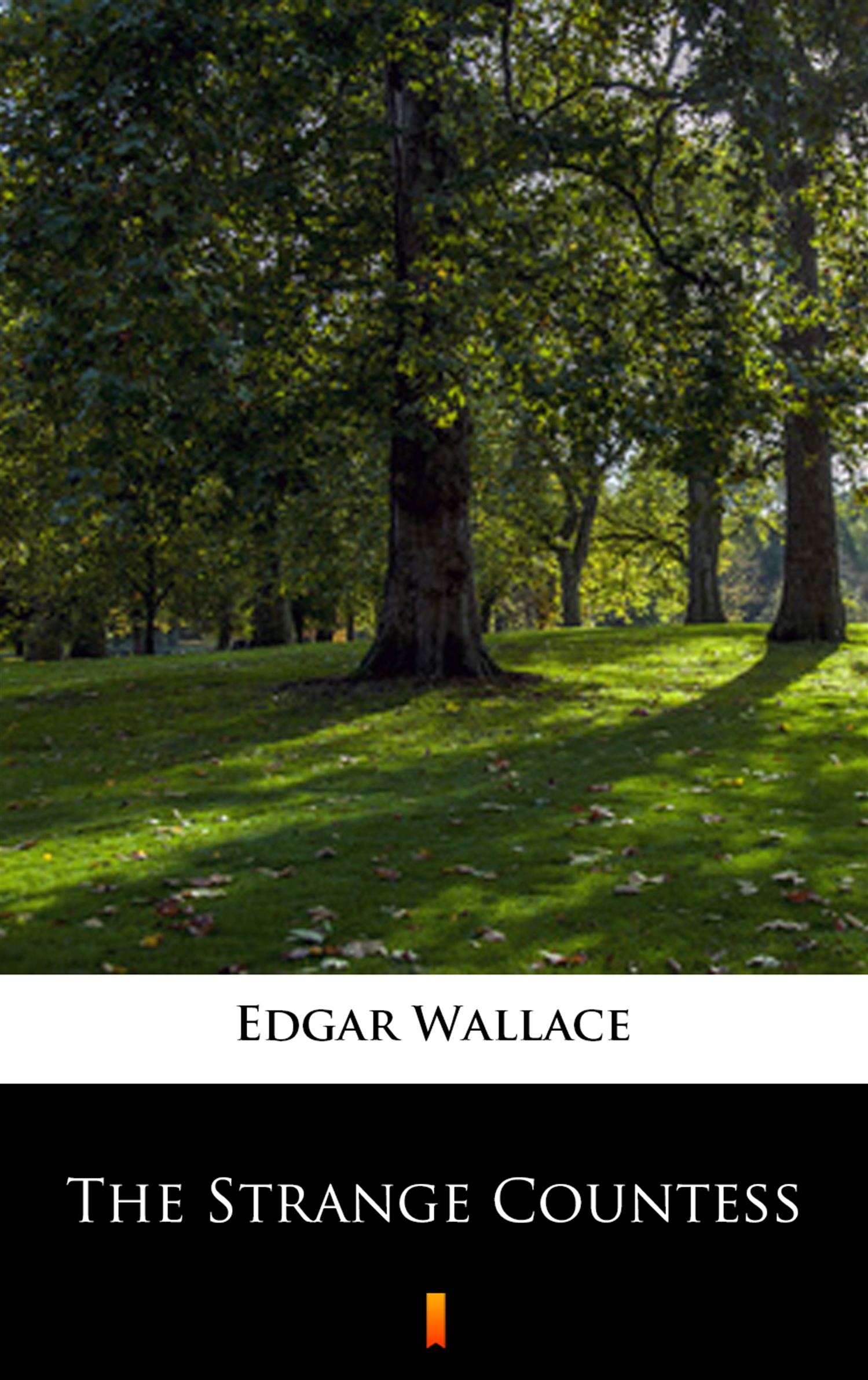 Tytuł: The Strange Countess
Autor: Edgar Wallace
Wydawnictwo: KtoCzyta.pl
Formaty: EPUB, MOBI