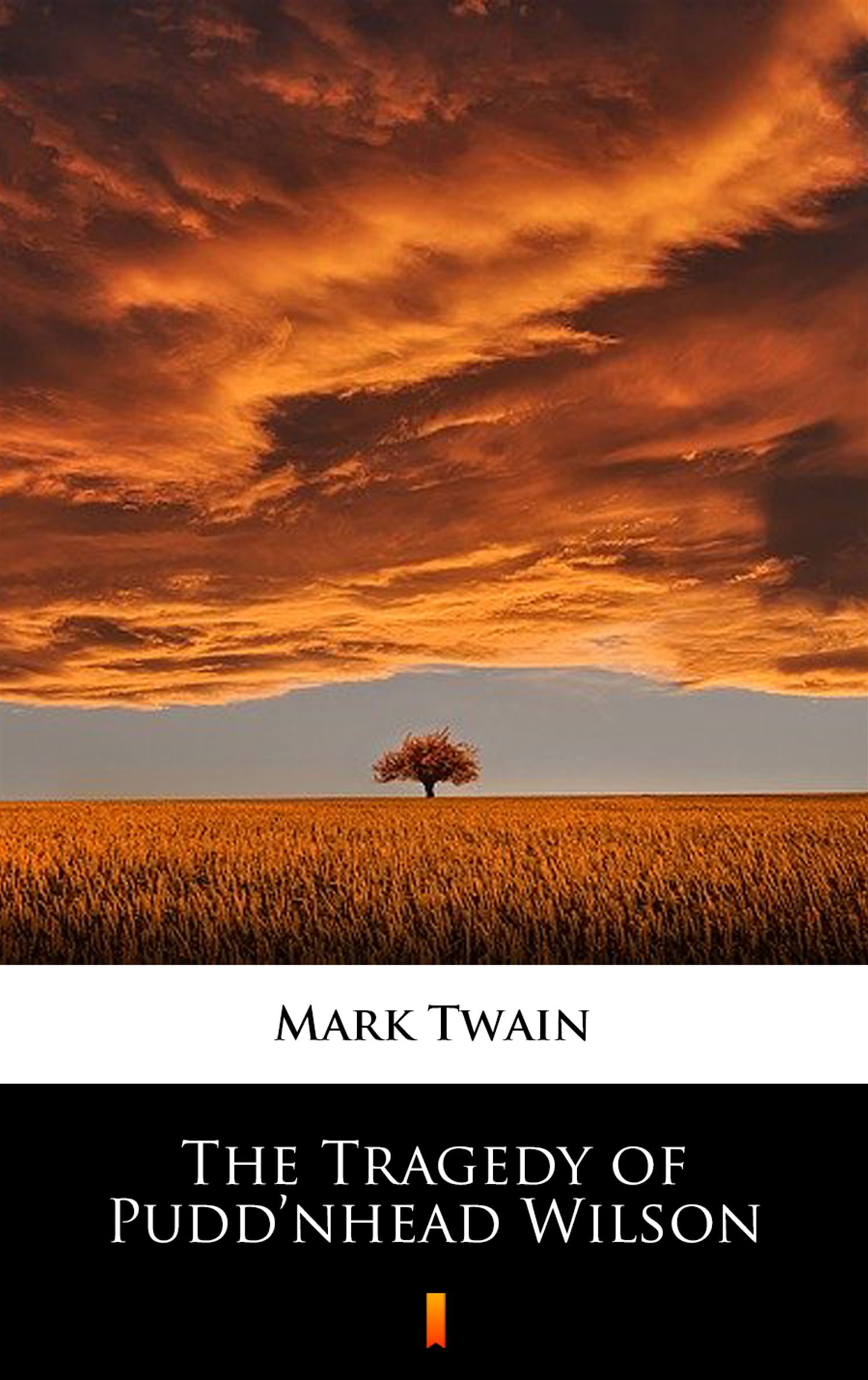 The Tragedy of Pudd’nhead Wilson — okładka e-booka