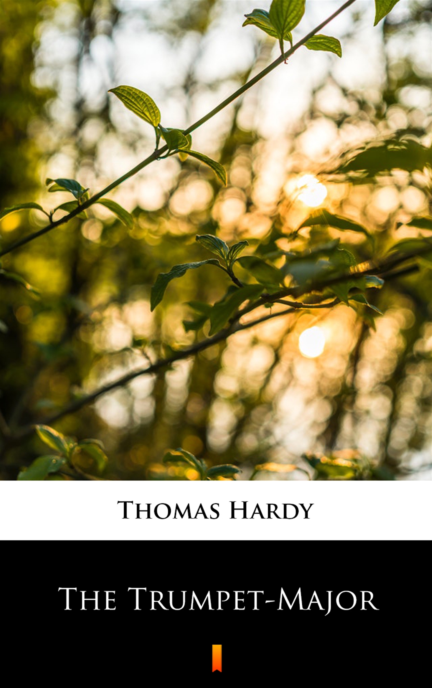 Tytuł: The Trumpet-Major
Autor: Thomas Hardy
Wydawnictwo: KtoCzyta.pl
Formaty: EPUB, MOBI