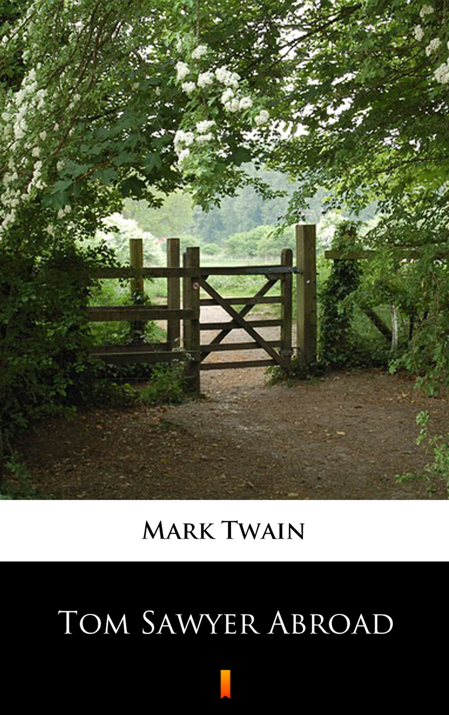Tytuł: Tom Sawyer Abroad
Autor: Mark Twain
Wydawnictwo: KtoCzyta.pl
Formaty: EPUB, MOBI