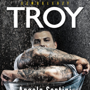 Troy — okładka e-booka