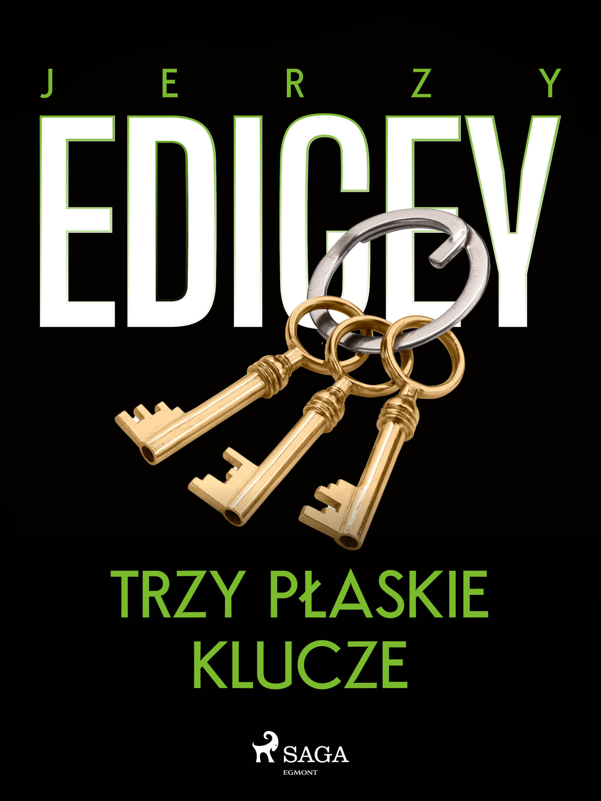 Tytuł: Trzy płaskie klucze
Autor: Jerzy Edigey
Wydawnictwo: SAGA Egmont
Formaty: EPUB, MOBI