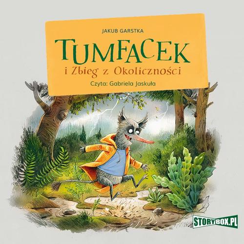 Tumfacek i Zbieg z Okoliczności — okładka audiobooka