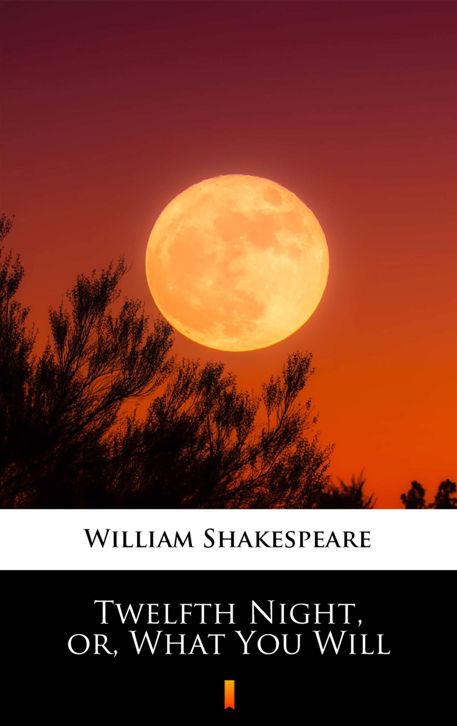 Twelfth Night, or, What You Will — okładka e-booka
