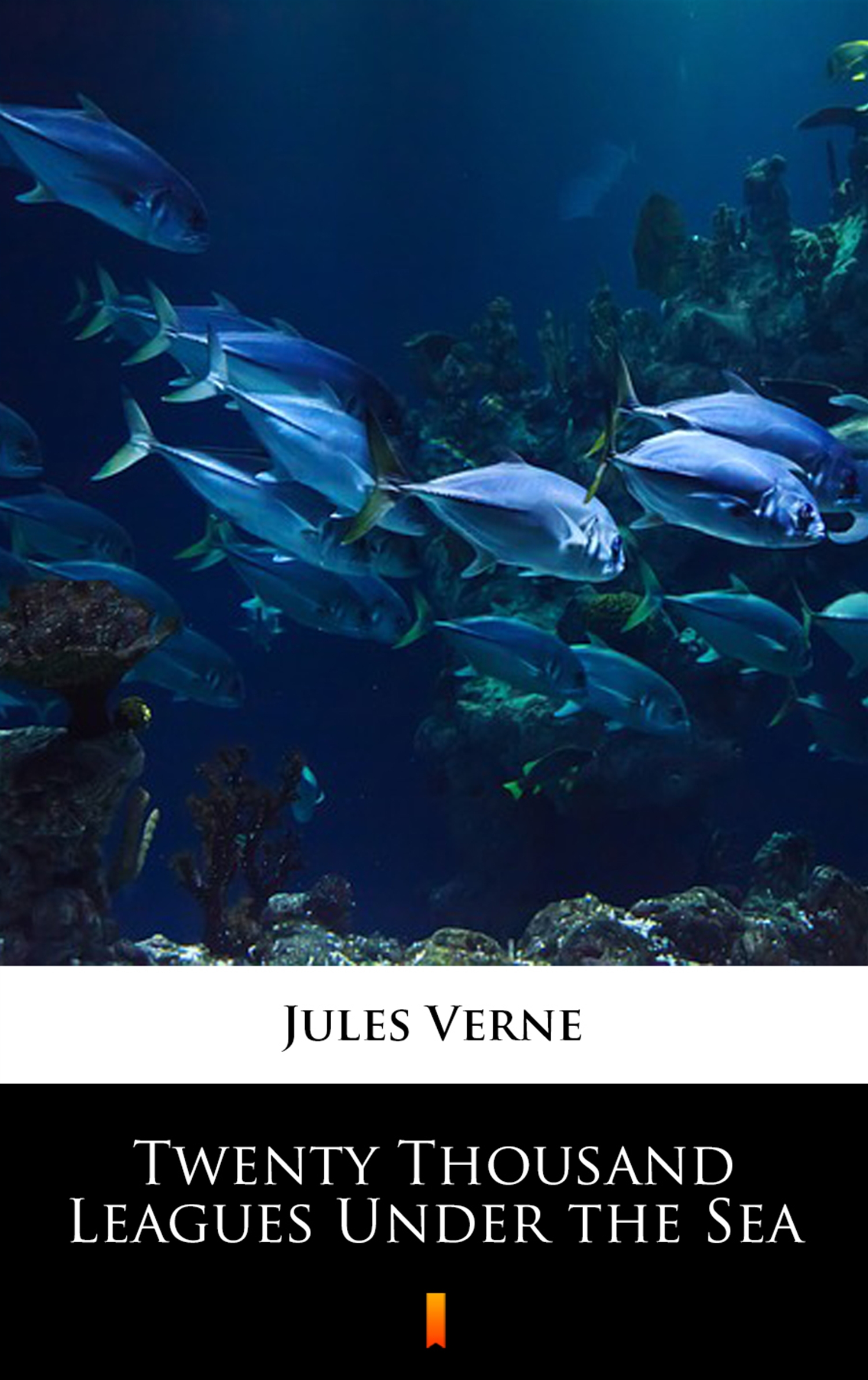 Tytuł: Twenty Thousand Leagues Under the Sea
Autor: Jules Verne
Wydawnictwo: KtoCzyta.pl
Formaty: EPUB, MOBI
