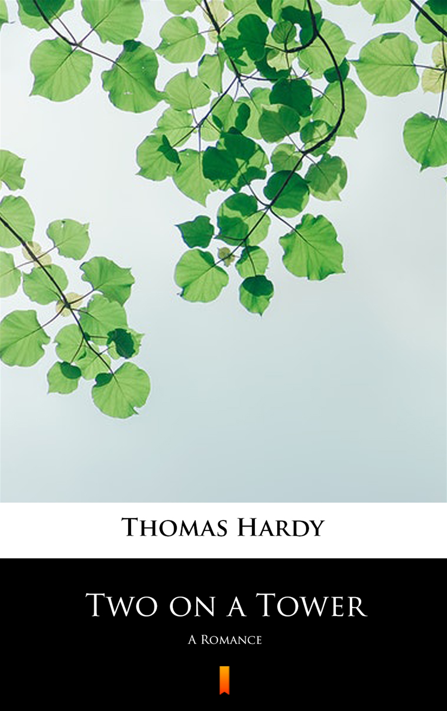 Tytuł: Two on a Tower. A Romance
Autor: Thomas Hardy
Wydawnictwo: KtoCzyta.pl
Formaty: EPUB, MOBI