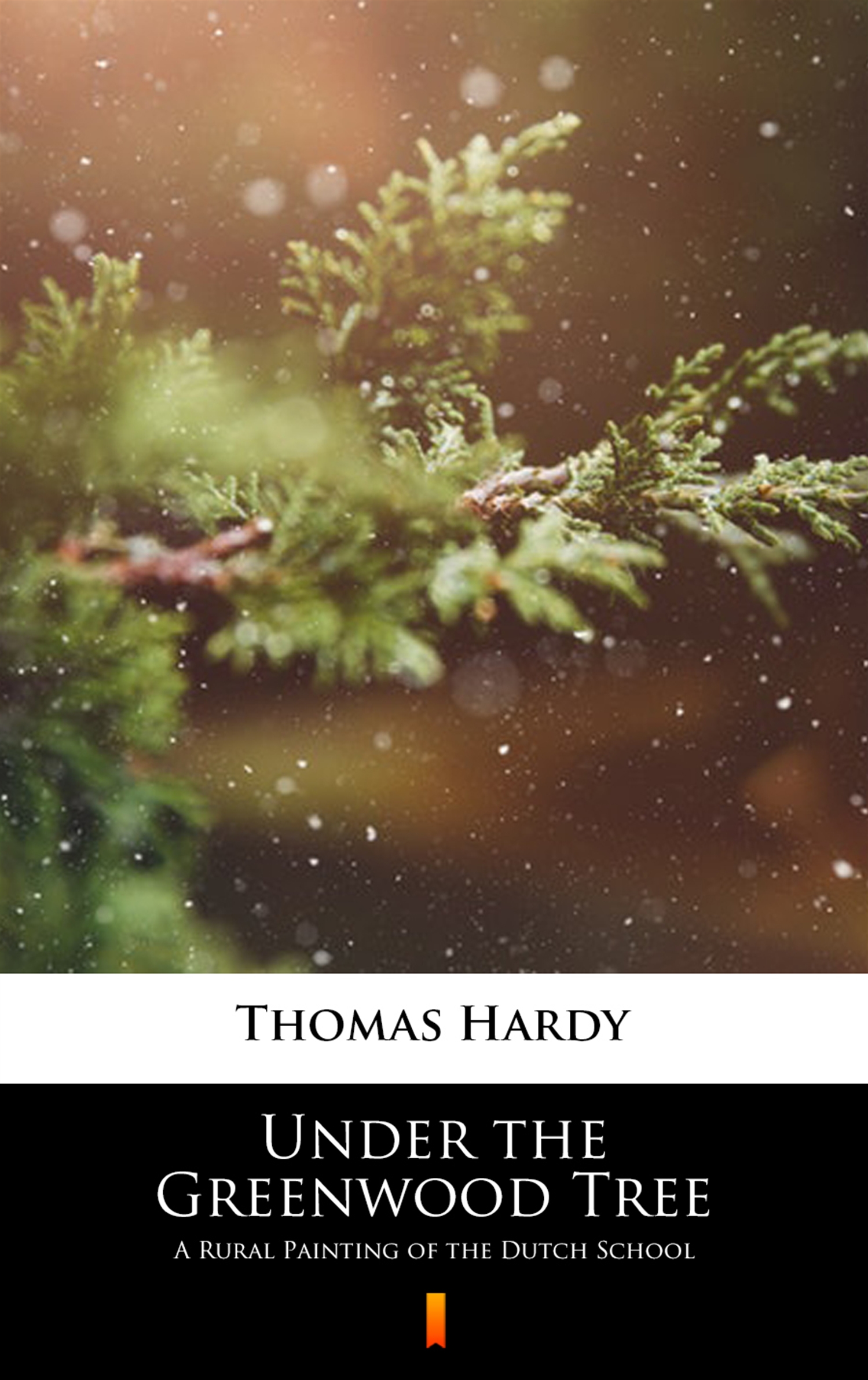 Tytuł: Under the Greenwood Tree. A Rural Painting of the Dutch School
Autor: Thomas Hardy
Wydawnictwo: KtoCzyta.pl
Formaty: EPUB, MOBI