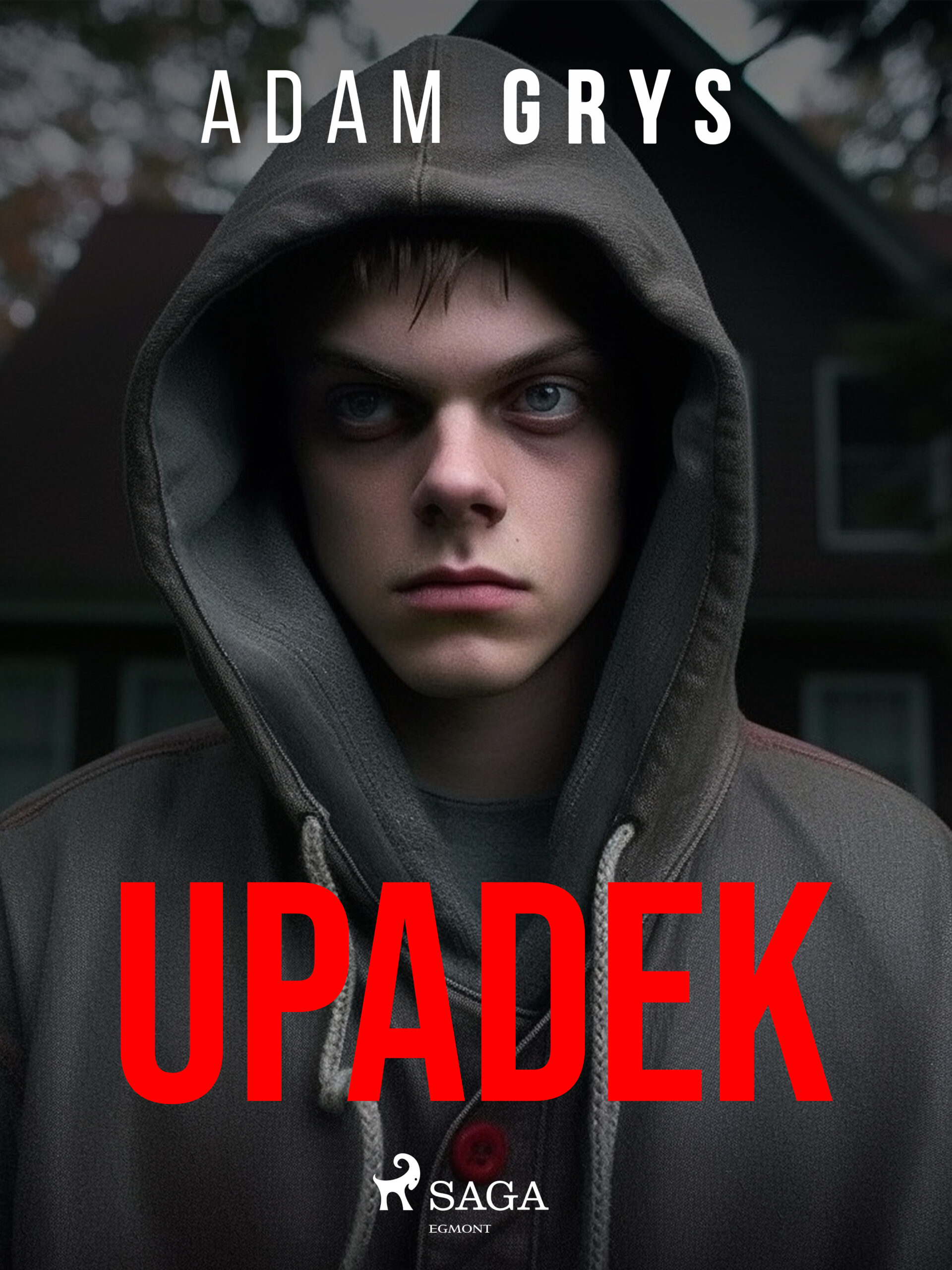 Upadek — okładka e-booka