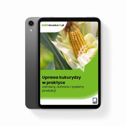 Tytuł: Uprawa kukurydzy w praktyce – odmiany, ochrona i systemy produkcji
Autor: Dr Hab. Inż. Paweł K. Bereś, Jolanta Bojarszczuk, Księżak
Wydawnictwo: Wiedza i Praktyka
Formaty: PDF