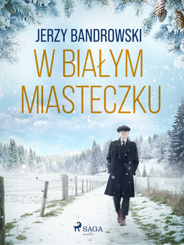 W białym miasteczku — okładka e-booka
