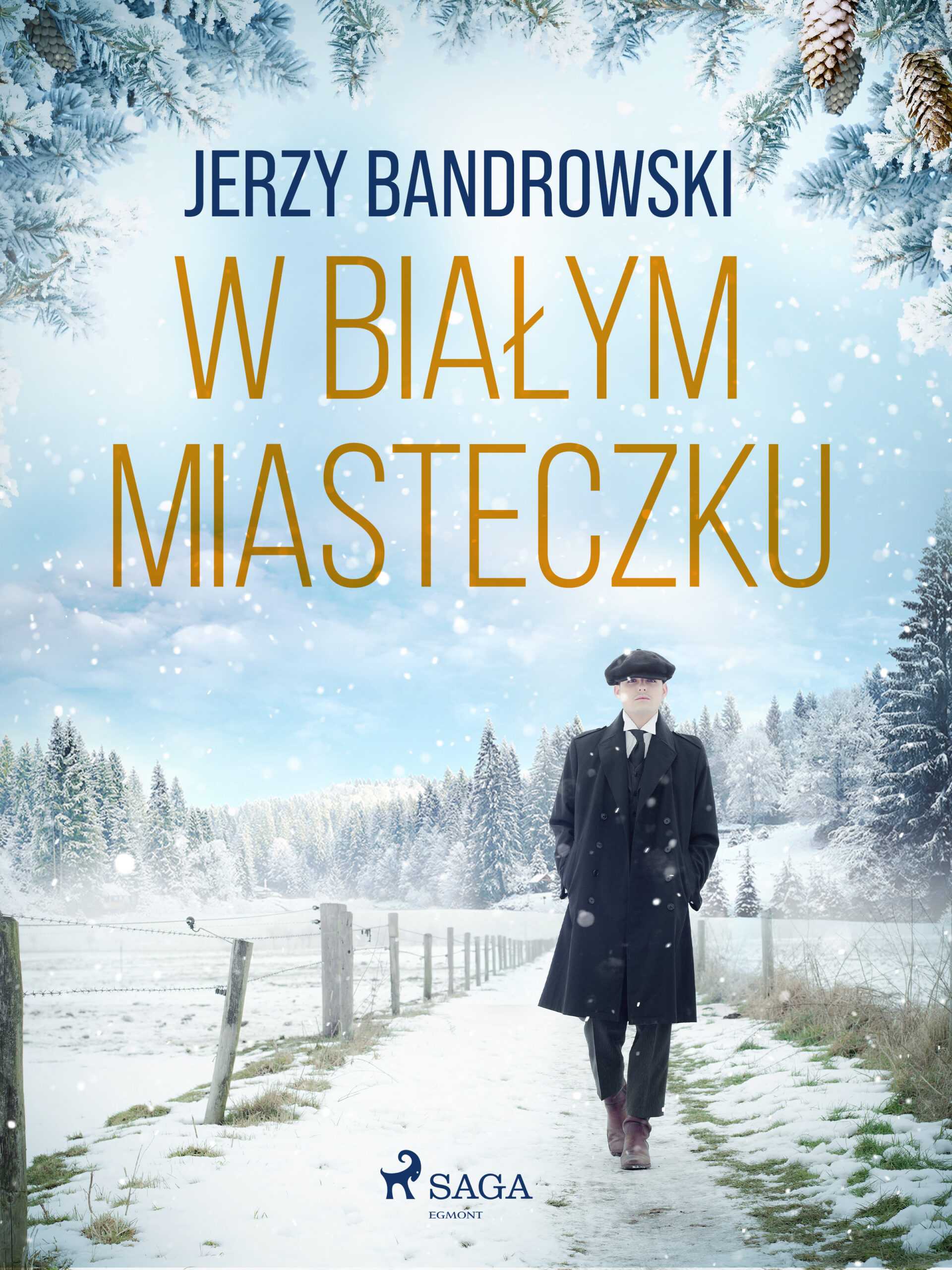 Tytuł: W białym miasteczku
Autor: Jerzy Bandrowski
Wydawnictwo: SAGA Egmont
Formaty: EPUB, MOBI