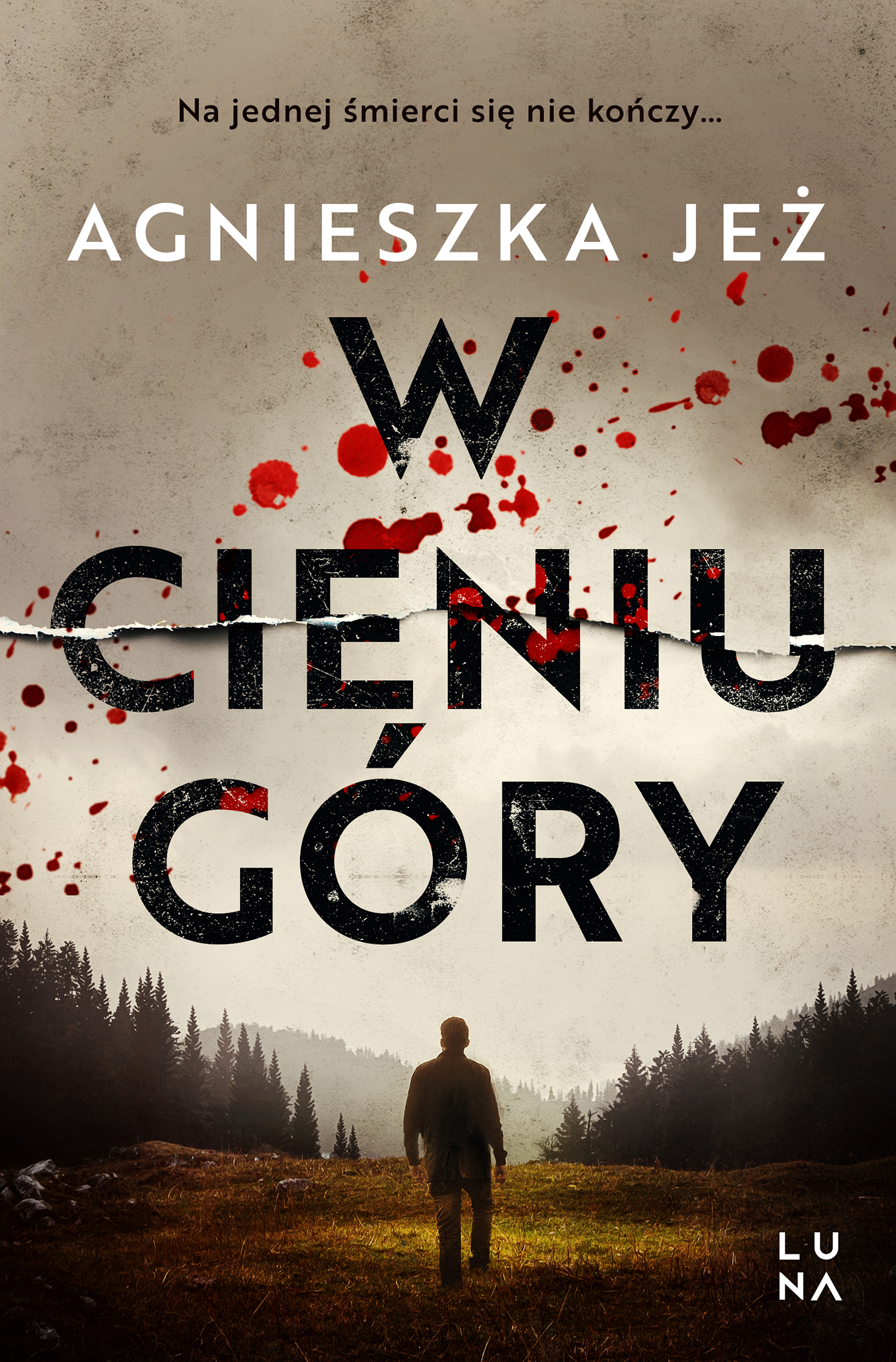 Tytuł: W cieniu góry
Autor: Agnieszka Jeż
Wydawnictwo: Wydawnictwo Luna
Formaty: EPUB, MOBI