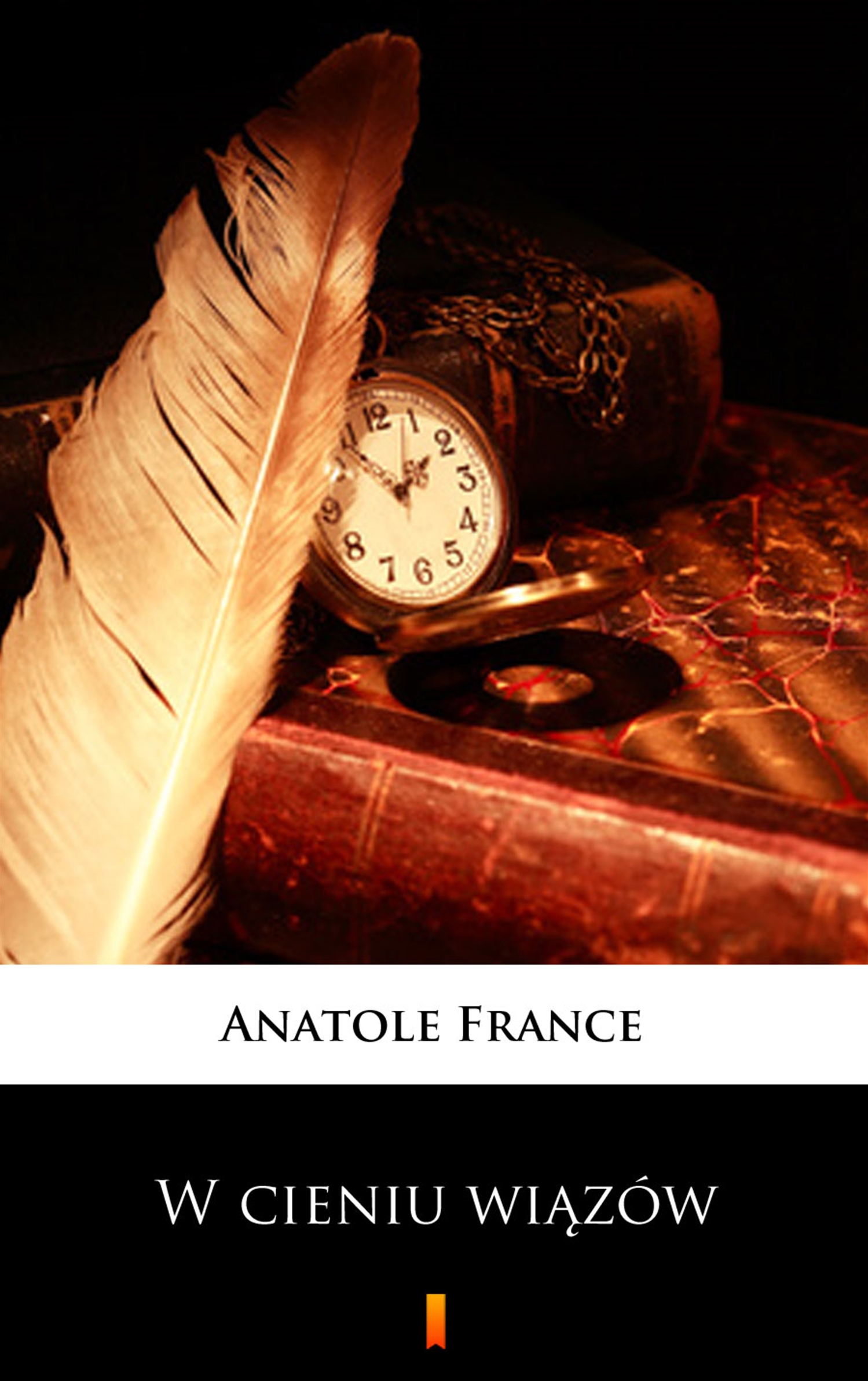 Tytuł: W cieniu wiązów
Autor: Anatole France
Wydawnictwo: KtoCzyta.pl
Formaty: EPUB, MOBI
