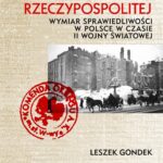 W imieniu Rzeczypospolitej. Wymiar sprawiedliwości w Polsce w czasie II wojny światowej — okładka e-booka