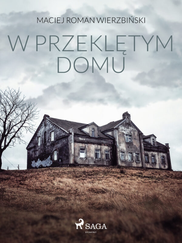 W przeklętym domu — okładka e-booka