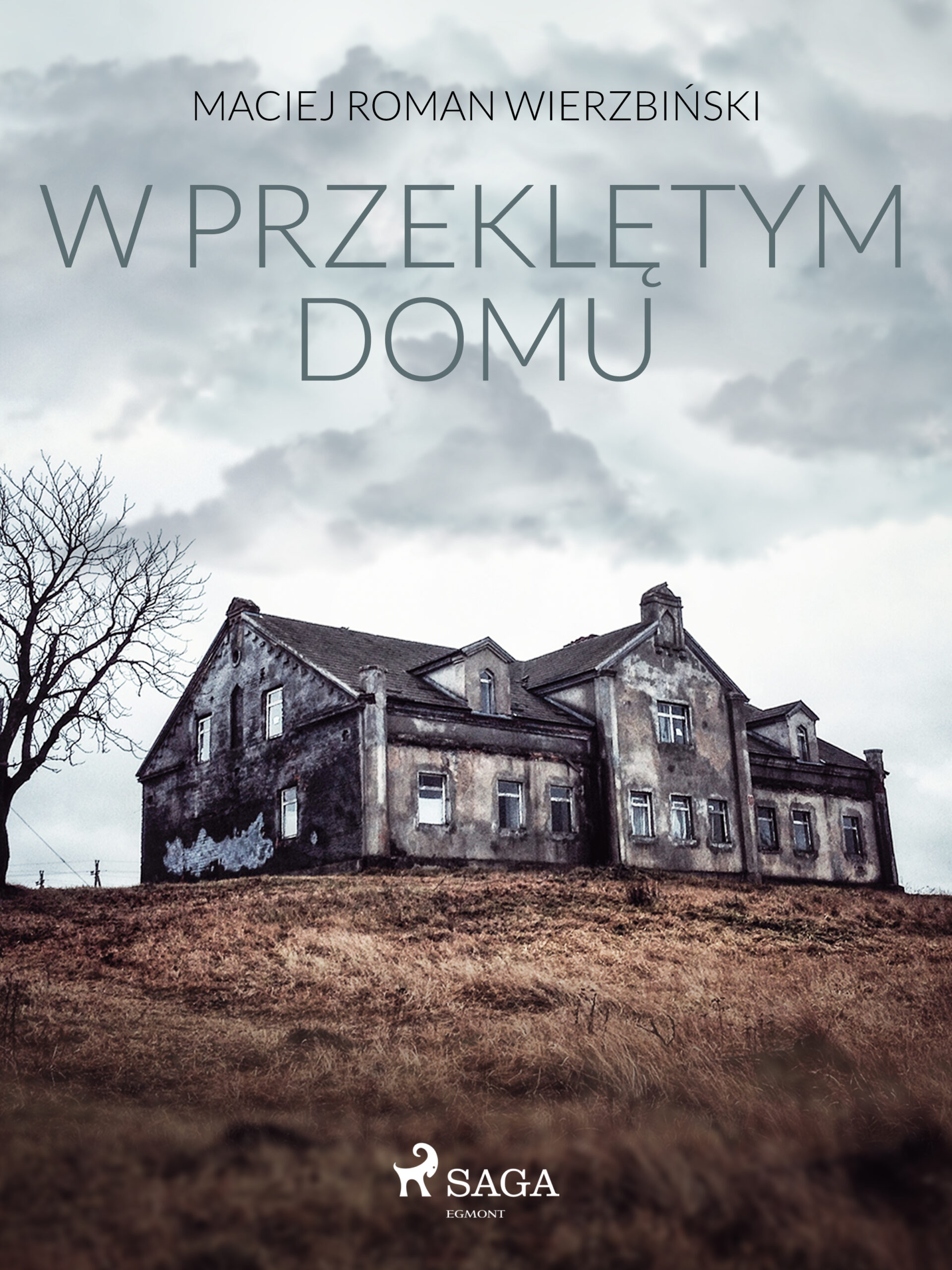 Tytuł: W przeklętym domu
Autor: Maciej Roman Wierzbiński
Wydawnictwo: SAGA Egmont
Formaty: EPUB, MOBI