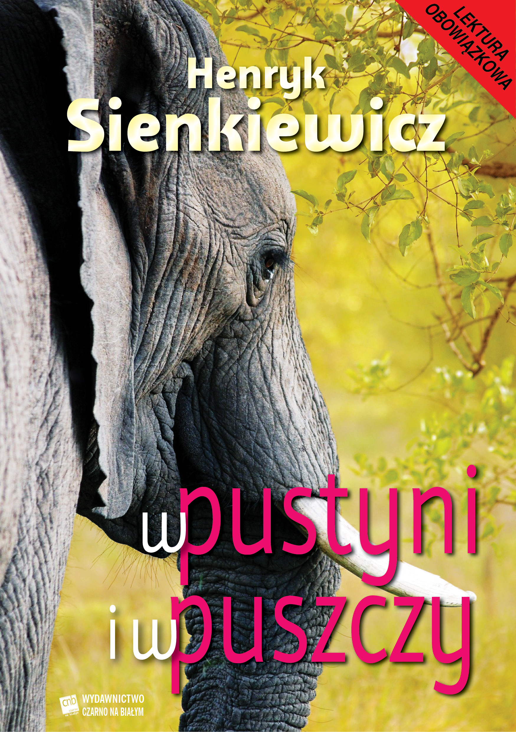 Tytuł: W pustyni i w puszczy
Autor: Henryk Sienkiewicz
Wydawnictwo: Czarno na Białym
Formaty: EPUB, MOBI