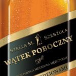 Wątek poboczny, czyli na czym polega metafora mężczyzny z dwoma śledzionami — okładka e-booka
