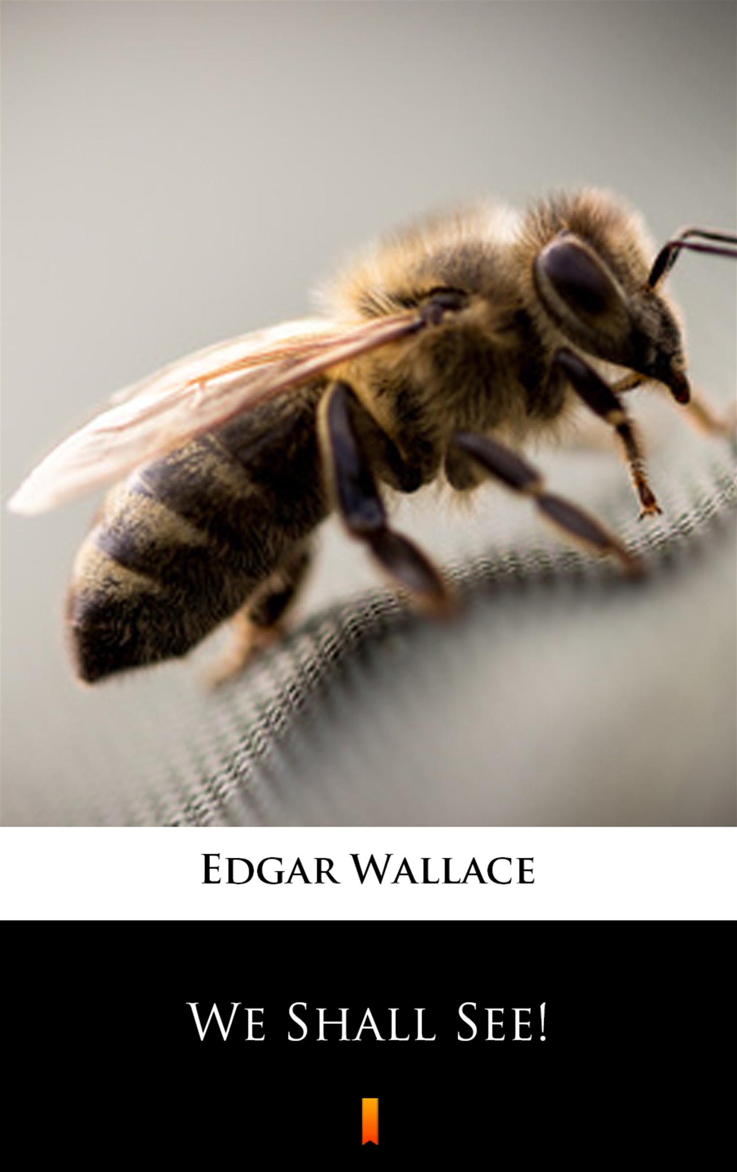 Tytuł: We Shall See!
Autor: Edgar Wallace
Wydawnictwo: KtoCzyta.pl
Formaty: EPUB, MOBI