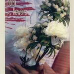 Tytuł: We’ll be born as flowers
Autor: Weronika Dobrzyniecka
Wydawnictwo: Borgis
Formaty: EPUB