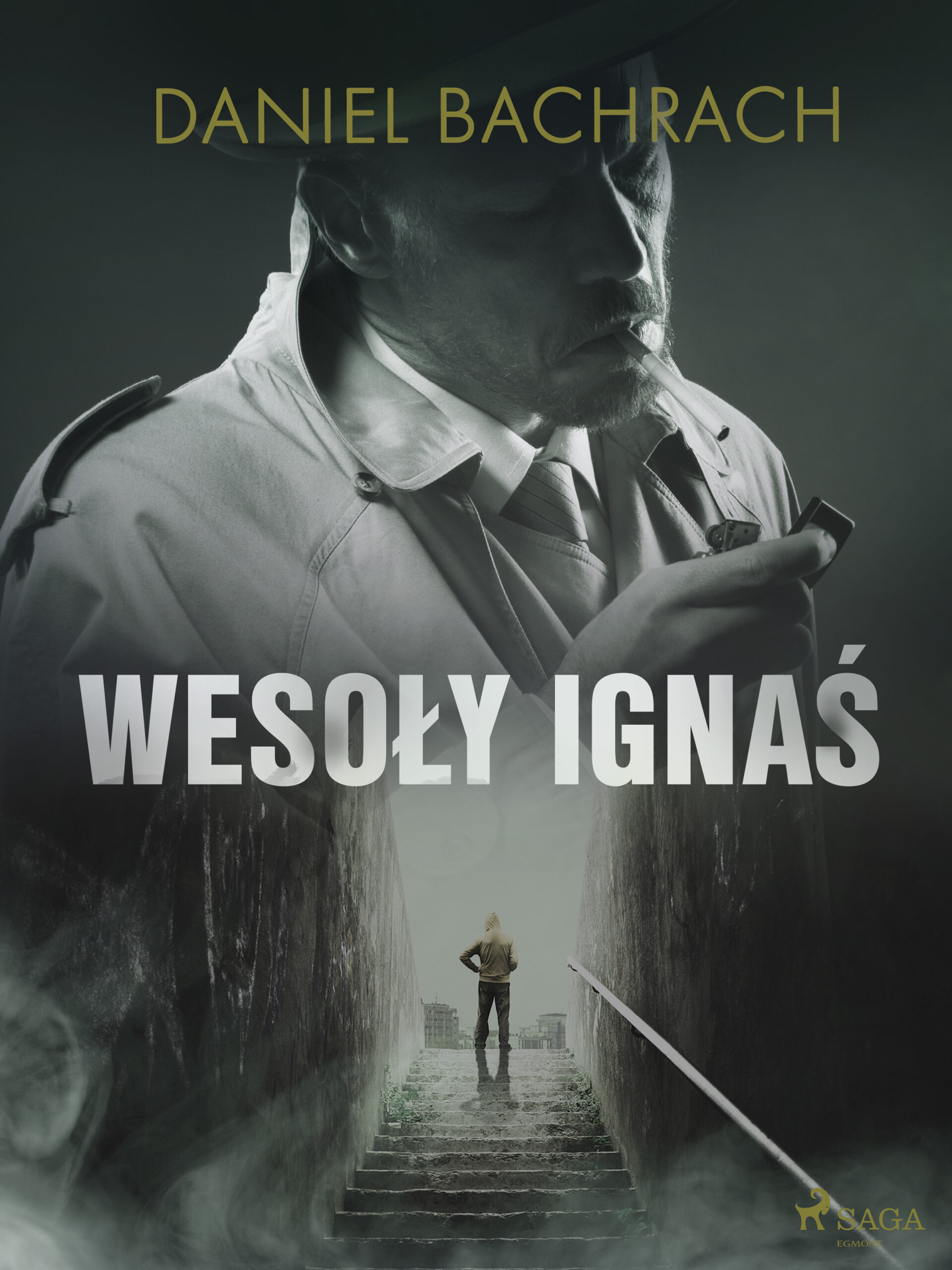 Tytuł: "Wesoły Ignaś"
Autor: Daniel Bachrach
Wydawnictwo: SAGA Egmont
Formaty: EPUB, MOBI