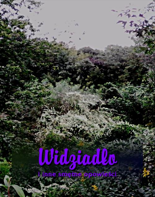 Tytuł: Widziadło i inne smętne opowieści
Autor: Antologia
Wydawnictwo: Armoryka
Formaty: MOBI, EPUB