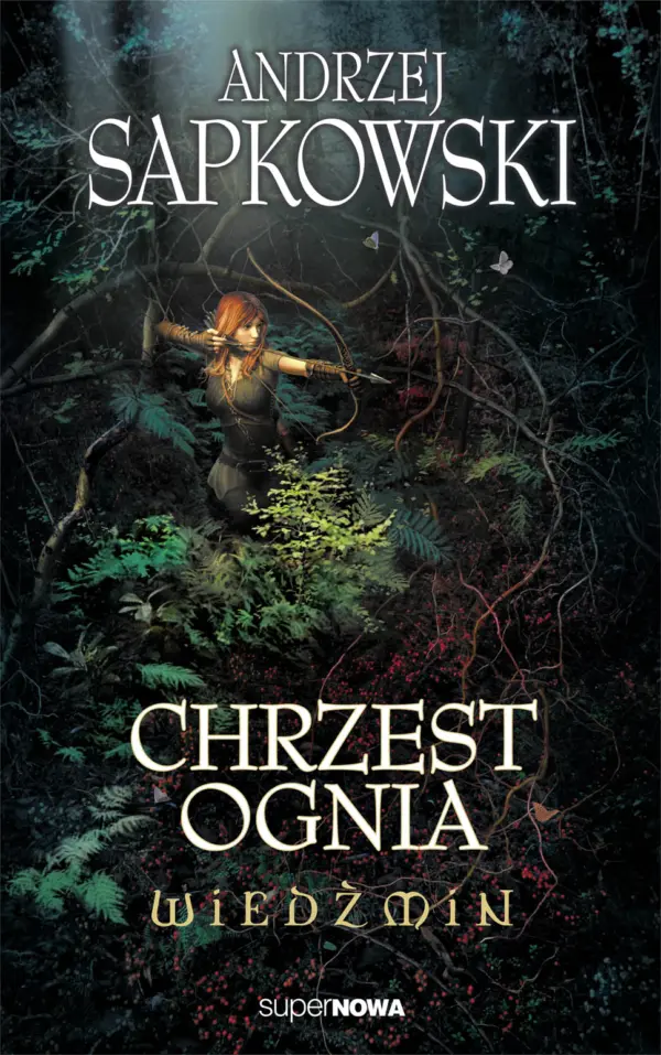 Wiedźmin (Tom 3). Wiedźmin. Chrzest ognia — okładka