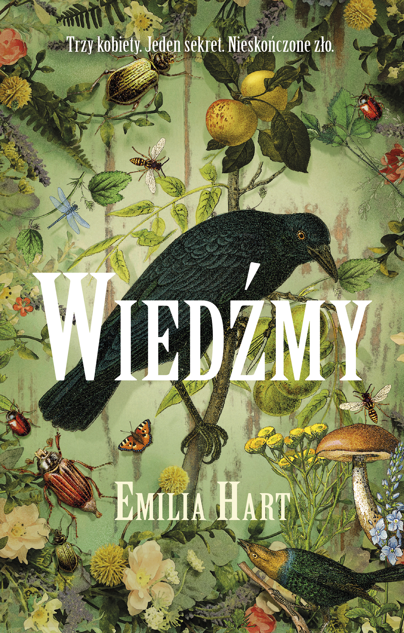 Tytuł: Wiedźmy
Autor: Emilia Hart
Wydawnictwo: Muza
Formaty: EPUB, MOBI