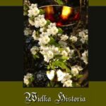 Wielka historia Świętego Graala — okładka e-booka